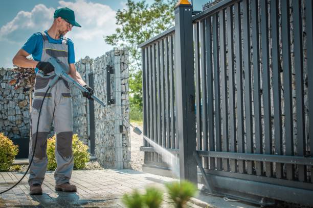 Best Brick and Stone Cleaning in Runge, TX